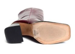 Bottines Et Boots Angel Alarcon Oconnor 22559 Bordeaux -Geox Soldes Boutique 3006002 6