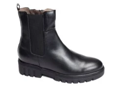 Bottines Et Boots Patricia Miller 5132 Noir